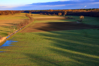 Vue aérienne de Prairies dans les basses terres d'Otterbach à le quartier Schaidt in Wörth am Rhein dans le département Rhénanie-Palatinat, Allemagne