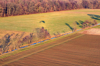 Vue aérienne de Prairies dans les basses terres d'Otterbach à Freckenfeld dans le département Rhénanie-Palatinat, Allemagne