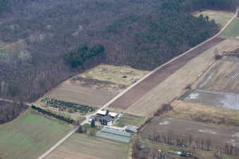 Vue aérienne de Crèche à Erlenbach à Erlenbach bei Kandel dans le département Rhénanie-Palatinat, Allemagne