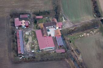 Leistenmühle à Erlenbach bei Kandel dans le département Rhénanie-Palatinat, Allemagne depuis l'avion