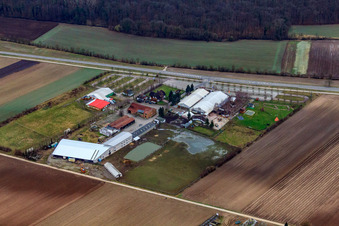 Adamshof à Kandel dans le département Rhénanie-Palatinat, Allemagne hors des airs