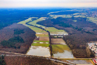 Vue aérienne de Prairies inondées de la plaine d'Otterbach à Kandel dans le département Rhénanie-Palatinat, Allemagne