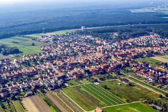 Vue aérienne de Du nord-est à Hatzenbühl dans le département Rhénanie-Palatinat, Allemagne