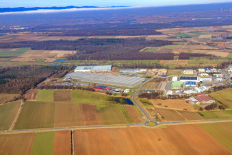 Vue aérienne de Zone industrielle de Horst, 3ème phase de construction pour le groupe STS à le quartier Minderslachen in Kandel dans le département Rhénanie-Palatinat, Allemagne
