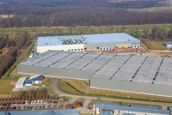 Zone industrielle de Horst, 3ème phase de construction pour le groupe STS à le quartier Minderslachen in Kandel dans le département Rhénanie-Palatinat, Allemagne vue d'en haut