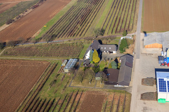 Jardin du fermier à Winden dans le département Rhénanie-Palatinat, Allemagne du point de vue du drone