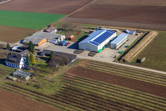 Jardin du fermier à Winden dans le département Rhénanie-Palatinat, Allemagne vu d'un drone