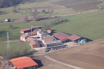 Riedseltz dans le département Bas Rhin, France d'en haut