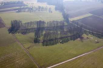 Riedseltz dans le département Bas Rhin, France hors des airs