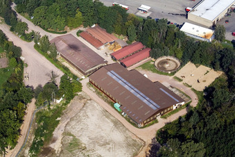 Vue aérienne de Club de course et d'équitation eV à Herxheim bei Landau dans le département Rhénanie-Palatinat, Allemagne