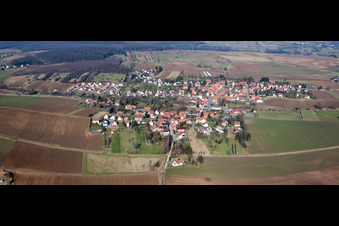 Vue aérienne de Champs agricoles et terres agricoles à Kutzenhausen dans le département Bas Rhin, France
