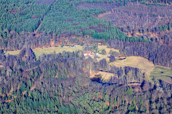 Vue aérienne de Moulin de Bienwald à Scheibenhardt dans le département Rhénanie-Palatinat, Allemagne