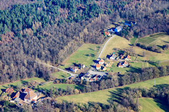 Vue aérienne de Waldgasthof Bienwaldmühle à Scheibenhardt dans le département Rhénanie-Palatinat, Allemagne