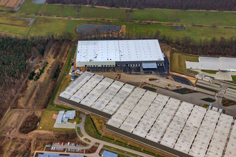 Image drone de Zone industrielle de Horst, 3ème phase de construction pour le groupe STS à le quartier Minderslachen in Kandel dans le département Rhénanie-Palatinat, Allemagne