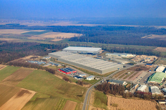 Zone industrielle de Horst, 3ème phase de construction pour le groupe STS à le quartier Minderslachen in Kandel dans le département Rhénanie-Palatinat, Allemagne d'un drone