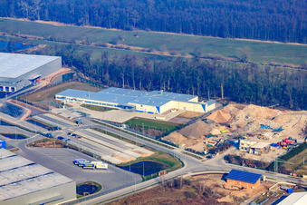 Vue aérienne de Thermo Fisher à le quartier Minderslachen in Kandel dans le département Rhénanie-Palatinat, Allemagne