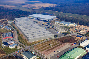 Vue aérienne de Zone industrielle de Horst, 3ème phase de construction pour le groupe STS à le quartier Minderslachen in Kandel dans le département Rhénanie-Palatinat, Allemagne