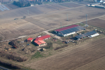 Vue oblique de Ferme d'œufs à Erlenbach bei Kandel dans le département Rhénanie-Palatinat, Allemagne