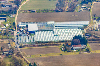 Crèche sur Ziegelstr à le quartier Sondernheim in Germersheim dans le département Rhénanie-Palatinat, Allemagne d'en haut