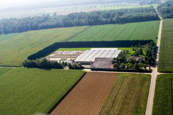 Sudetenhof à Steinweiler dans le département Rhénanie-Palatinat, Allemagne d'en haut