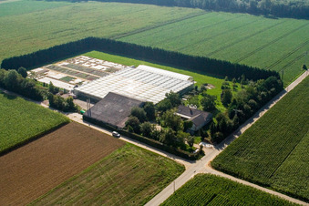 Sudetenhof à Steinweiler dans le département Rhénanie-Palatinat, Allemagne hors des airs