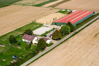 Vue aérienne de Ferme équestre Fohlenhof à Steinweiler dans le département Rhénanie-Palatinat, Allemagne