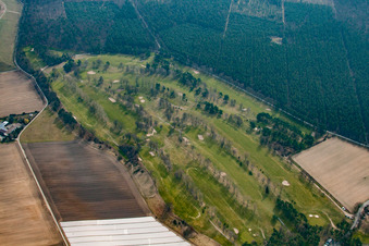 Photographie aérienne de Terrain de golf Rheintal GmbH dans les dunes d'Oftersheim à le quartier Hardtwaldsiedlung in Oftersheim dans le département Bade-Wurtemberg, Allemagne