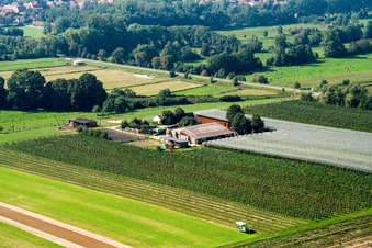 Vue aérienne de Lindenhof : ferme fruitière et asperge de Gensheim à Steinweiler dans le département Rhénanie-Palatinat, Allemagne