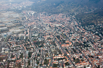 Vue aérienne de Quartier Handschuhsheim in Heidelberg dans le département Bade-Wurtemberg, Allemagne