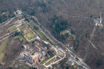 Photographie aérienne de Jardin du château à le quartier Kernaltstadt in Heidelberg dans le département Bade-Wurtemberg, Allemagne