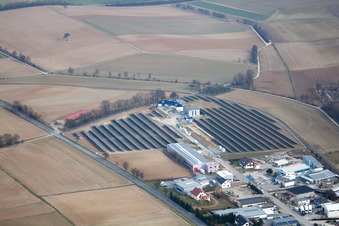 Vue aérienne de Champ photovoltaïque à le quartier Obergimpern in Bad Rappenau dans le département Bade-Wurtemberg, Allemagne