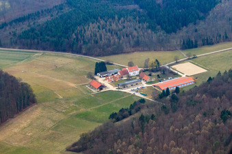 Vue aérienne de Domaine d'Erdbeerhof à Gondelsheim dans le département Bade-Wurtemberg, Allemagne