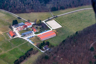 Vue aérienne de Haras et domaine d'Erdbeerhof à Gondelsheim dans le département Bade-Wurtemberg, Allemagne