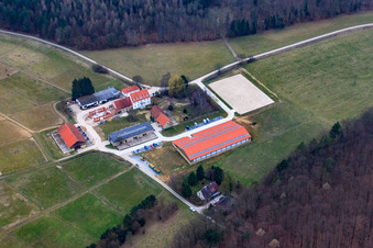 Vue aérienne de Haras et domaine d'Erdbeerhof à Gondelsheim dans le département Bade-Wurtemberg, Allemagne