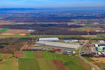 Vue aérienne de Parc industriel de Horst, groupe logistique ZUFALL et groupe STS à le quartier Minderslachen in Kandel dans le département Rhénanie-Palatinat, Allemagne