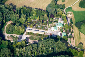 Vue aérienne de Horticulture Greentec à Berg dans le département Rhénanie-Palatinat, Allemagne