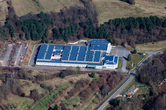 Vue aérienne de Locaux de l'usine Lugina Schuhfabrik GmbH à Schwanheim dans le département Rhénanie-Palatinat, Allemagne