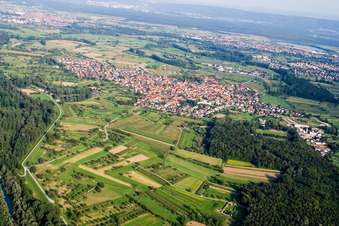 Vue aérienne de Au am Rhein dans le département Bade-Wurtemberg, Allemagne