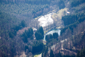 Vue aérienne de Étang à poissons sur le Neubach à Bitche dans le département Moselle, France