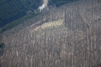 Photographie aérienne de Petit-Réderching dans le département Moselle, France