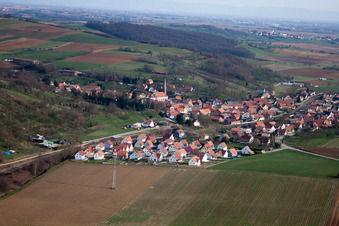 Buswiller dans le département Bas Rhin, France vue d'en haut