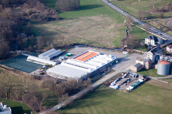 Vue aérienne de Griesbach dans le département Bas Rhin, France