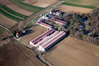 Merkwiller-Pechelbronn dans le département Bas Rhin, France du point de vue du drone