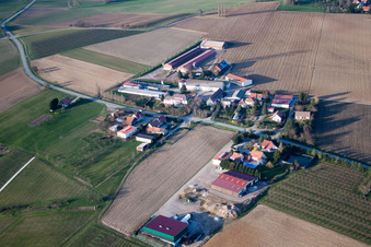Photographie aérienne de Steinseltz dans le département Bas Rhin, France