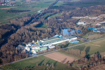 Image drone de Isolation Sitek à le quartier Altenstadt in Wissembourg dans le département Bas Rhin, France