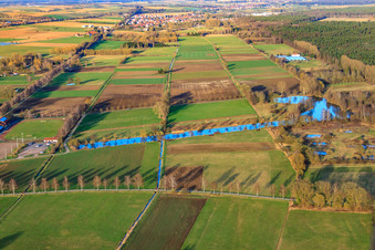 Vue aérienne de Fossé antichar Steinfeld à Steinfeld dans le département Rhénanie-Palatinat, Allemagne
