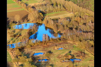 Photographie aérienne de Lac de loisirs « Étang des cygnes » à Steinfeld dans le département Rhénanie-Palatinat, Allemagne