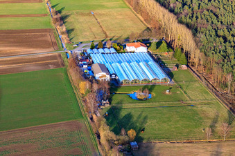 Vue oblique de Terre de cactus Steinfeld à Steinfeld dans le département Rhénanie-Palatinat, Allemagne