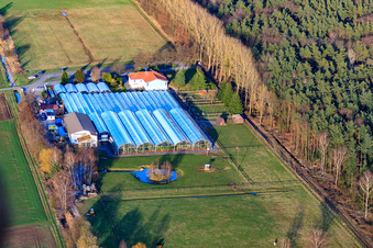 Terre de cactus Steinfeld à Steinfeld dans le département Rhénanie-Palatinat, Allemagne d'en haut