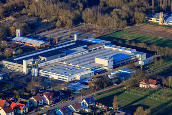 Webasto Mécatronique à le quartier Schaidt in Wörth am Rhein dans le département Rhénanie-Palatinat, Allemagne du point de vue du drone